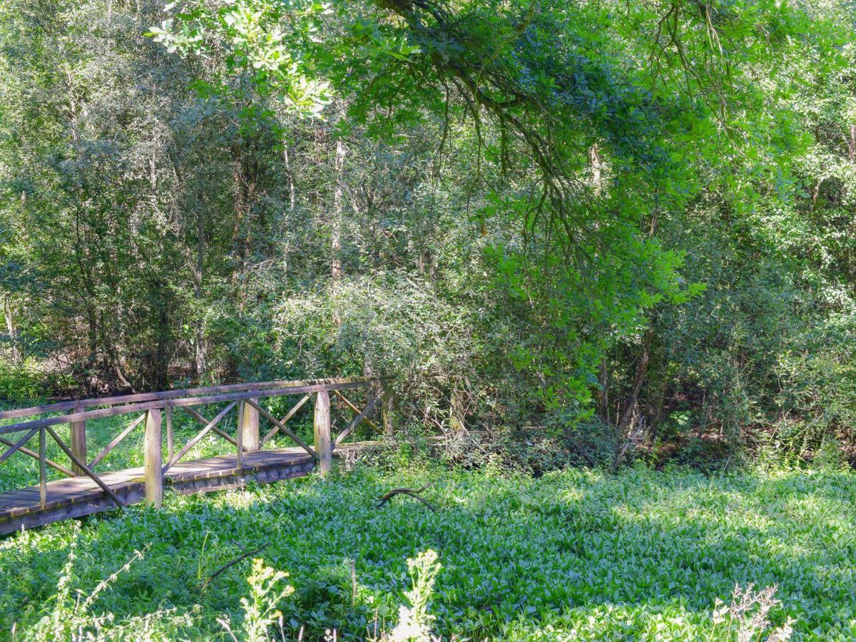 ארברות' Auburn Cottage מראה חיצוני תמונה